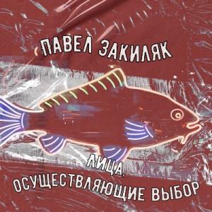 Павел Закиляк - 2024 - Лица, осуществляющие выбор