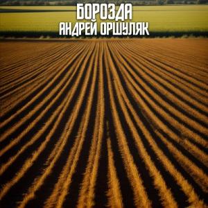 Андрей Оршуляк - 2023 - Борозда