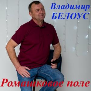 Владимир Белоус - 2022 - Ромашковое поле