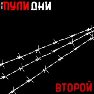 Группа Пули-дни - 2025 - 02 Гуляй шпана