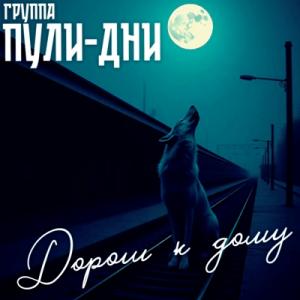 Группа Пули-дни - 2025 - 07 Дорога к дому