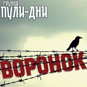 Группа Пули-Дни - 2025 - 19 Воронок