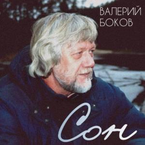 Валерий Боков - 2025 - Сон