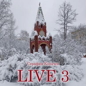 Серафим Копачев - 2025 - Live 3
