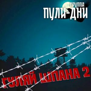 Группа Пули-Дни - 2025 - Гуляй шпана 2