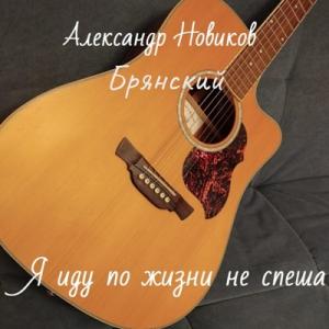 Александр Новиков-Брянский - 2025 - Я иду по жизни не спеша
