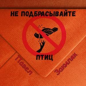 Павел Закиляк - 2024 - Не подбрасывайте птиц