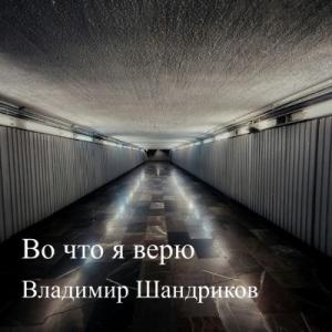 Владимир Шандриков - 2025 - Во что я верю