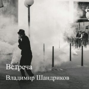 Владимир Шандриков - 2025 - Встреча