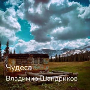 Владимир Шандриков - 2025 - Чудеса