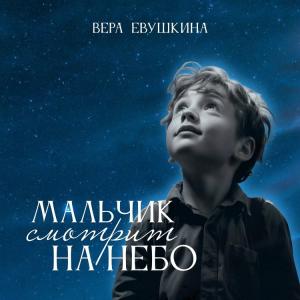 Вера Евушкина - 2025 - Мальчик смотрит на небо