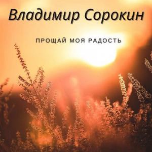 Владимир Сорокин - 2025 - Прощай моя радость
