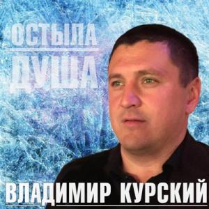 Владимир Курский - 2018 - Остыла душ