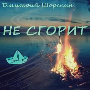 Дмитрий Шорскин - 2023 - Не сгорит