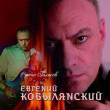 Евгений Кобылянский - 2012 - Стена голосов