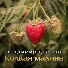 Владимир Цветков - 2024 - Колкая малина