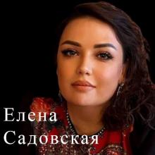 Елена Садовская - 2024 - Еду на войну