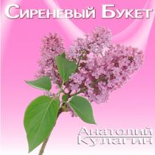 Анатолий Кулагин - 2025 - Сиреневый букет