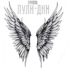 Группа Пули-дни