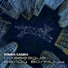 Кошка Сашка - 2025 - Созвездие Белой Волчицы