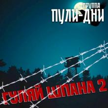 Группа Пули-Дни - 2025 - Гуляй шпана 2