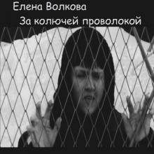 Елена Волкова - 2011 - За колючей проволокой