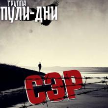 Группа Пули-Дни - 2025 - СЭР