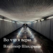 Владимир Шандриков - 2025 - Во что я верю