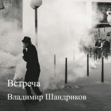 Владимир Шандриков - 2025 - Встреча