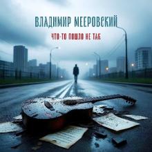 Владимир Мееровский - 2026 - Что-то пошло не так