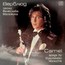 Вячеслав Малежик - 1990 - Верблюд (LP)