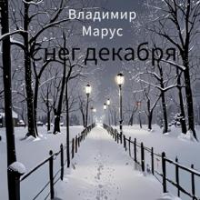 Владимир Марус - 2024 - Снег декабря